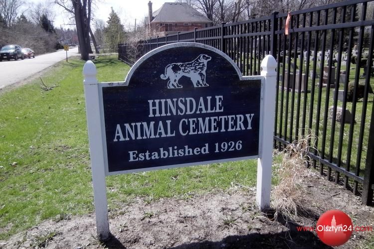 Wizyta na grzebowisku – głos w sprawie 