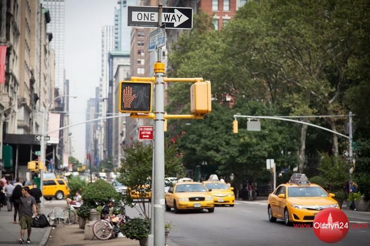 Dlaczego firmy taksówkarskie powinny mieć wykupione polisy?