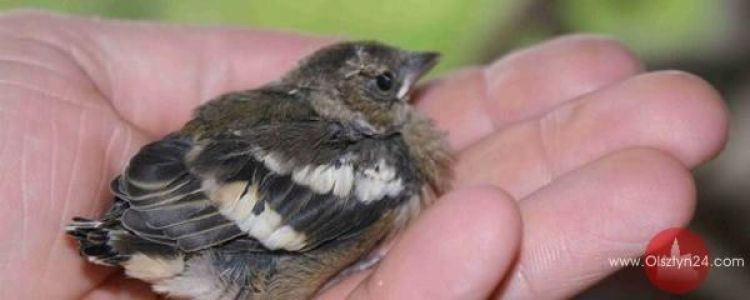 Przyroda na miarę czasów