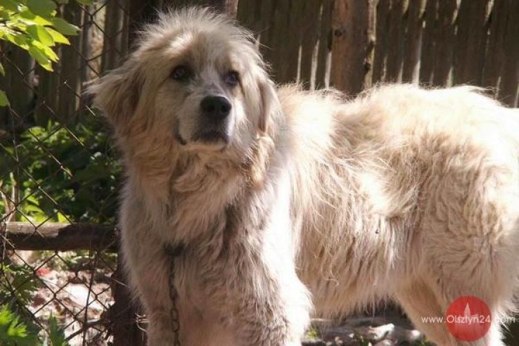 Świat na łańcuchu