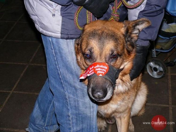 Światełko do nieba