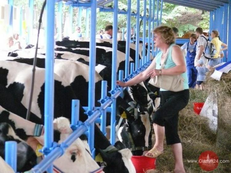 Mistrzowie województwa - wicemistrzami kraju!