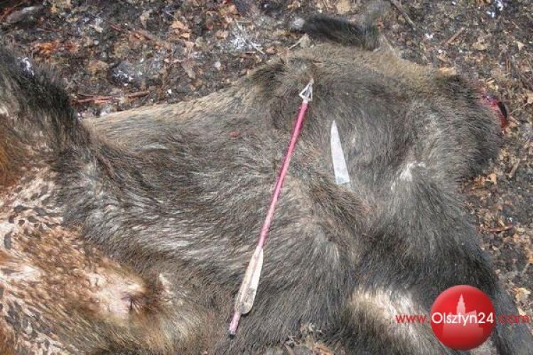 To byli prawdziwi „kuszownicy”