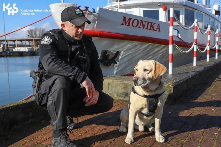Razem pracują, odpoczywają, spędzają wolny czas…