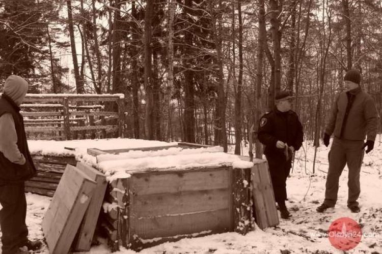 Trzy dziki mniej w Olsztynie