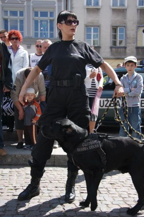 KTO NAM „PODSKOCZY?”