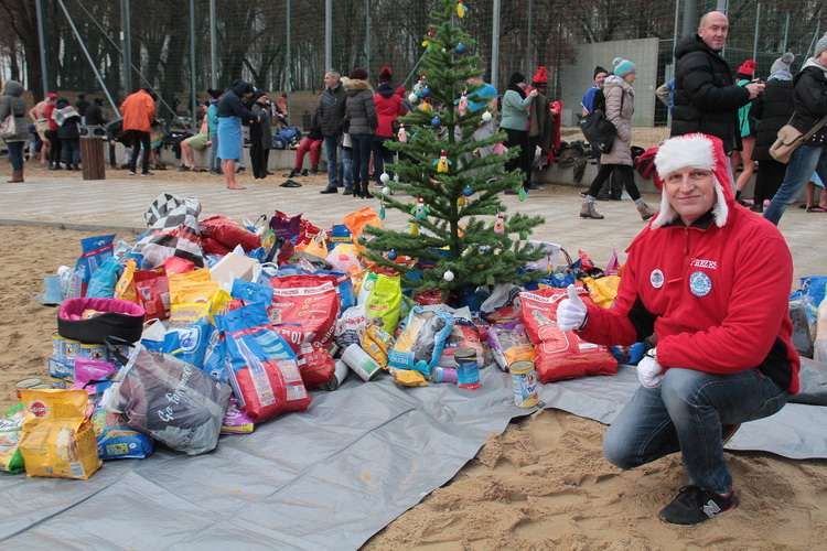 MORSÓW CHOINKA DLA ZWIERZAKÓW